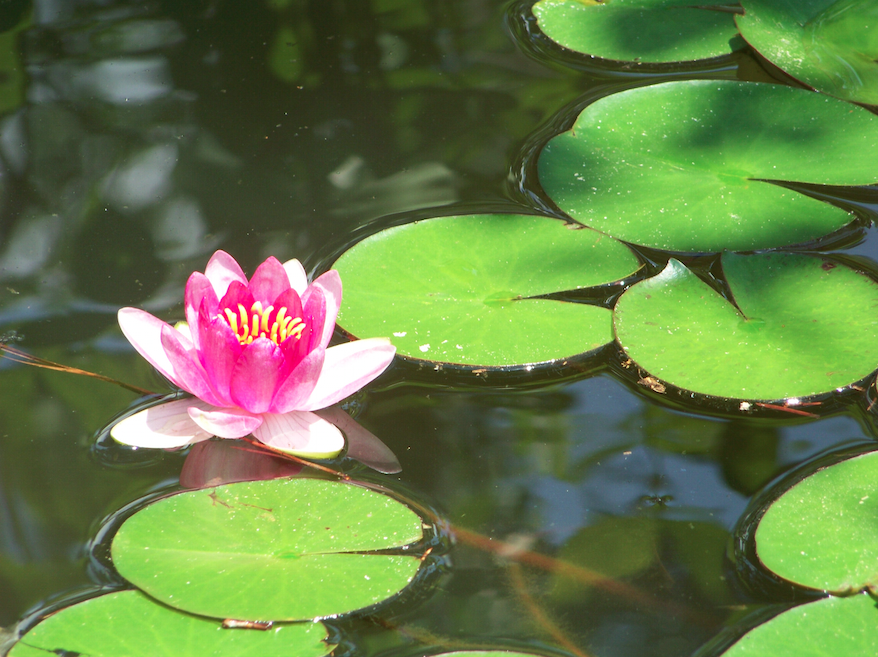 Screen Shot 2014-10-19 at 10.22.30 PM